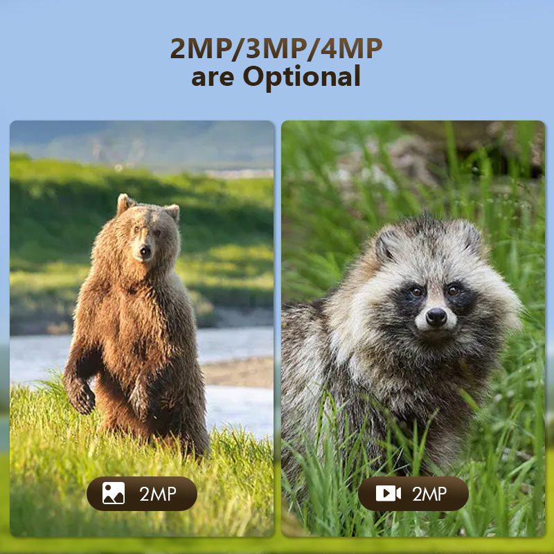 トレイルおよび屋外撮影カメラ,4mp,wifiアプリ,ソーラ - Trail Camera Infrared のレビューと価格