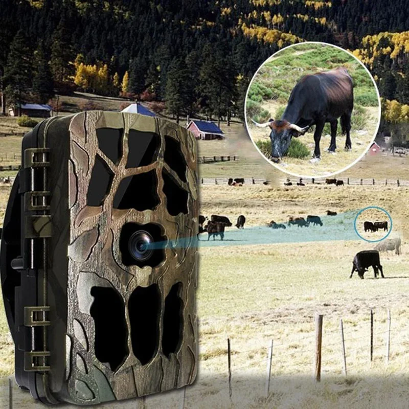 防水赤外線暗視カメラ,1080p,4K (h982),暗視機 - Trail Camera Infrared のレビューと価格