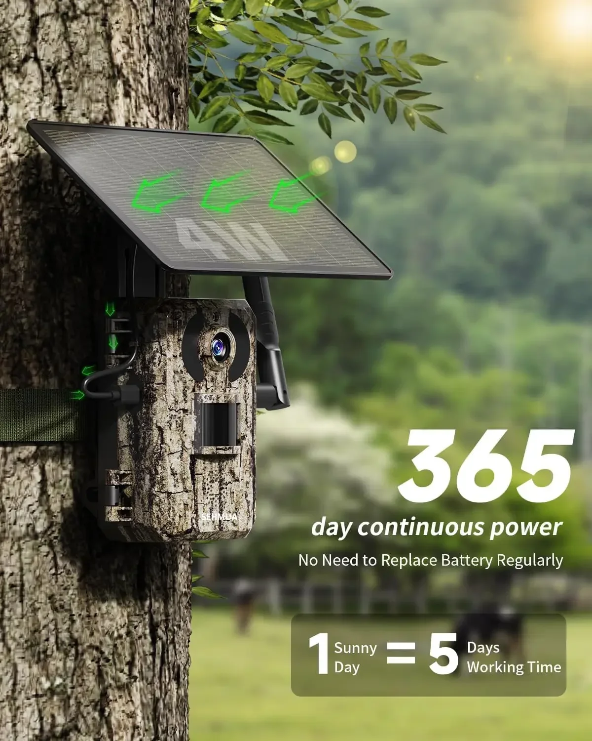 第3世代4G LTEセルラー式トレイルカメラ - 2Kライブ - Trail Camera Infrared のレビューと価格